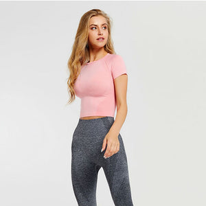 Katie Seamless Crop Tee - 3 Colors